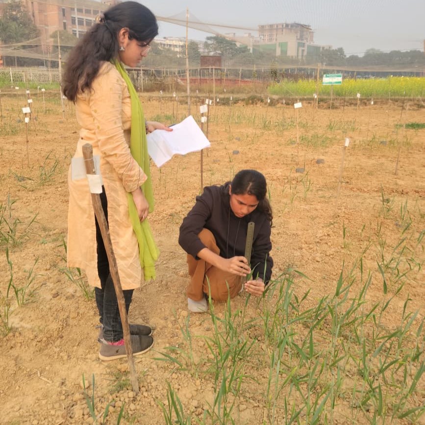 WhatsApp Image 2026-01-15 at 12.26.51 AM