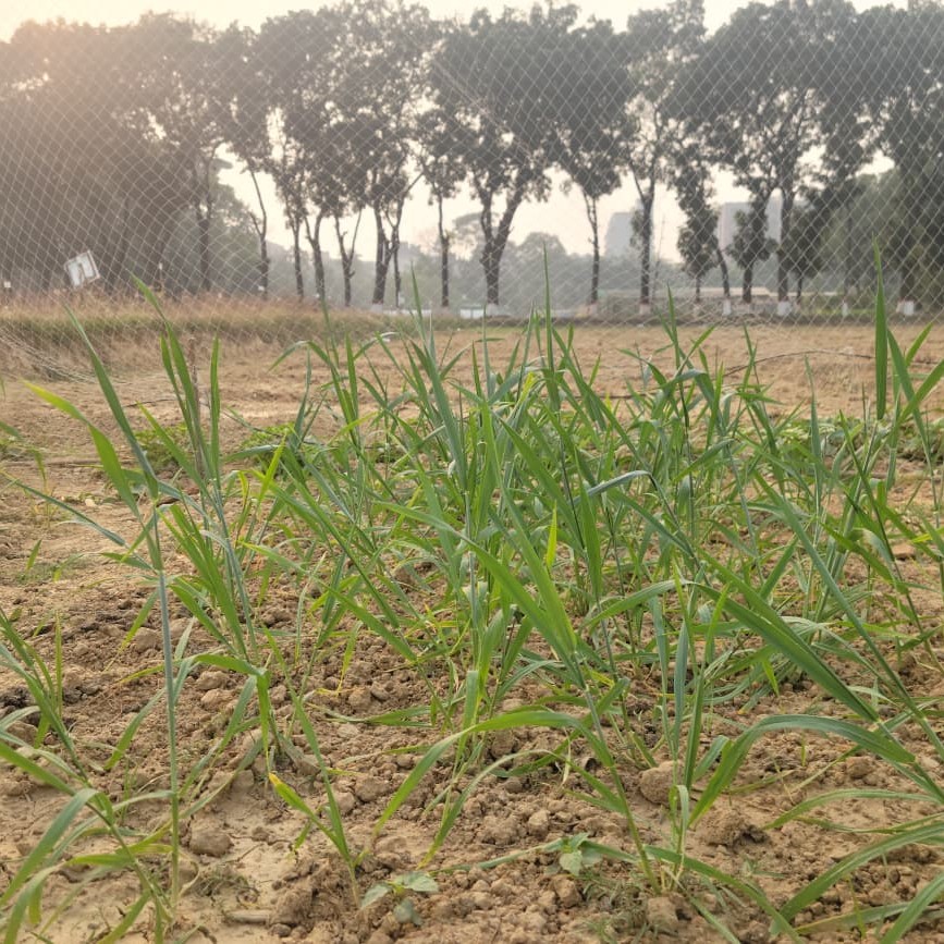 WhatsApp Image 2026-01-15 at 12.26.53 AM