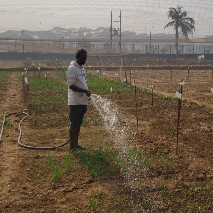 WhatsApp Image 2026-01-15 at 12.27.00 AM